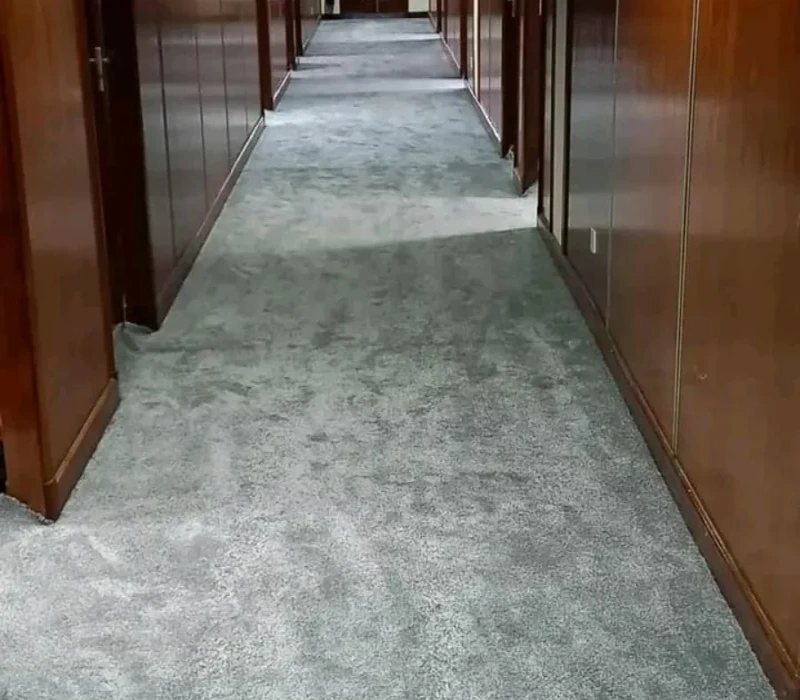 Balcony Area Wall to wall carpet