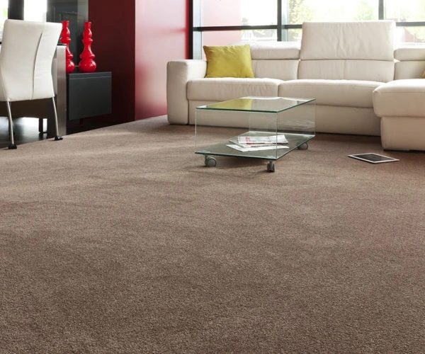 plush Wall to wall carpet